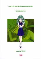 Hierophant Green / HIEROPHANT GREEN [Kuroinu Juu] [Sailor Moon] Thumbnail Page 30