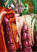 Taimanin Asagi 2 / 対魔忍アサギ2～淫謀の東京キングダム～ [Kagami] [Taimanin Asagi] Thumbnail Page 85