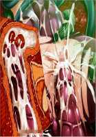 Taimanin Asagi 2 / 対魔忍アサギ2～淫謀の東京キングダム～ [Kagami] [Taimanin Asagi] Thumbnail Page 86