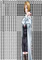 Bible Black -La noche de walpurgis- [Seishoujo] [Bible Black] Thumbnail Page 33