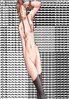 DISCIPLINE -The record of a Crusade- / DISCIPLINE－The record of a Crusade－ [Seishoujo] [Discipline] Thumbnail Page 246