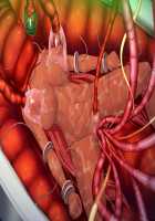 Taimanin Asagi 3 / 対魔忍アサギ 3 [Aoi Nagisa] [Taimanin Asagi] Thumbnail Page 213