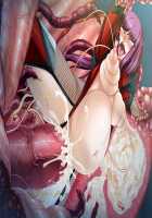 Taimanin Asagi 3 / 対魔忍アサギ 3 [Aoi Nagisa] [Taimanin Asagi] Thumbnail Page 225