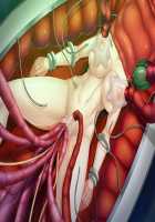 Taimanin Asagi 3 / 対魔忍アサギ 3 [Aoi Nagisa] [Taimanin Asagi] Thumbnail Page 267