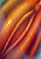 Taimanin Asagi 3 / 対魔忍アサギ 3 [Aoi Nagisa] [Taimanin Asagi] Thumbnail Page 269