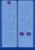 Bible Black -The Infection- [Seishoujo] [Bible Black] Thumbnail Page 169