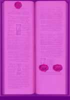 Bible Black -The Infection- [Seishoujo] [Bible Black] Thumbnail Page 170