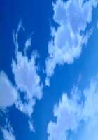 Discipline LS / DISCIPLINE LS [Seishoujo] [Discipline] Thumbnail Page 140