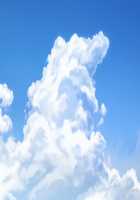 LEWDNESS ～Vita sexualis～ [Seishoujo] [Original] Thumbnail Page 989