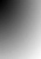 P/A ~Potential Ability~ / P/A ～Potential Ability～ [Seishoujo] [Original] Thumbnail Page 1180