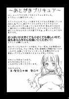 I Became Kirara-chan's Manager. / きららちゃんのマネージャーになった。 [Hijiri Tsukasa] [Go Princess Precure] Thumbnail Page 24