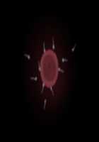 Shin Innindou "Byakugan Hime VS Tanetsuke Taihou" / 真・淫忍道 「白眼姫VS種付大砲」 [Naruhodo] [Naruto] Thumbnail Page 113