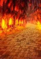 Kuroinu Chapter 2 ~The Blowjob Princess Knight, Lustful Young Princess, and Anal Eastern Priestess~ [Hikage Eiji] [Kuroinu Kedakaki Seijo Wa Hakudaku Ni Somaru] Thumbnail Page 581