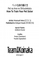How To Train Your Pet Sister / ペットな姉の躾け方 [Hinotsuki Neko] [Original] Thumbnail Page 21
