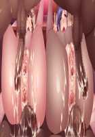 Kagachi-sama o Nagusame Matsurimasu ~Netorare-mura Midarayoru Hanashi~ / かがち様お慰め奉ります～寝取られ村淫夜噺～ [Sumeragi Kohaku] [Original] Thumbnail Page 258