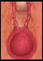 Kekkon Seikatsu o Mamoru Tame ni Dairi Kozukuri de Netori Ana Yome ni Sareru Niizuma / 結婚生活を守るために代理子作りで寝取り穴嫁にされる新妻 [Original] Thumbnail Page 155