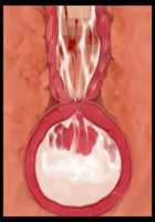 Kekkon Seikatsu o Mamoru Tame ni Dairi Kozukuri de Netori Ana Yome ni Sareru Niizuma / 結婚生活を守るために代理子作りで寝取り穴嫁にされる新妻 [Original] Thumbnail Page 203