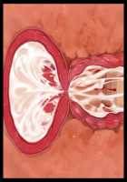 Kekkon Seikatsu o Mamoru Tame ni Dairi Kozukuri de Netori Ana Yome ni Sareru Niizuma / 結婚生活を守るために代理子作りで寝取り穴嫁にされる新妻 [Original] Thumbnail Page 220