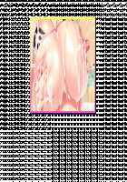 Motto! Haramase! Honoo no Oppai Isekai Ero Mahou Gakuen! / もっと！孕ませ！炎のおっぱい異世界エロ魔法学園！ [Derauea] [Original] Thumbnail Page 620