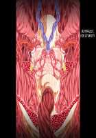 Tsuini Nengan no Sukima Youkai o Hokaku shita zo! / ついに念願のスキマ妖怪を捕獲したぞ！ [Kido Keiji] [Touhou Project] Thumbnail Page 23