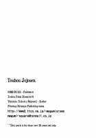 Touhou Jojouen / 東方叙情宴 [Mgmee] [Touhou Project] Thumbnail Page 17