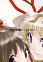 Touhou Jojouen / 東方叙情宴 [Mgmee] [Touhou Project] Thumbnail Page 18