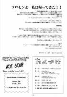 A Wild Nymphomaniac Has Returned! / やせいのちじょがかえってきた! [Tomomimi Shimon] [Touhou Project] Thumbnail Page 21