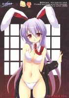 Jarekko Doubutsu / じゃれっこ どうぶつ [Hanao.] [Touhou Project] Thumbnail Page 30