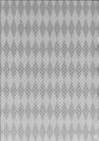 Yakumo Gensou / 八雲幻葬 [Nakatsugawa Minoru] [Touhou Project] Thumbnail Page 26