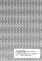 Yakumo Gensou / 八雲幻葬 [Nakatsugawa Minoru] [Touhou Project] Thumbnail Page 27