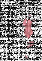 Ambrosia [Original] Thumbnail Page 510