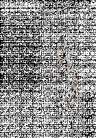 Ambrosia [Original] Thumbnail Page 515