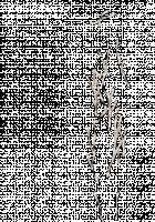 Ambrosia [Original] Thumbnail Page 516