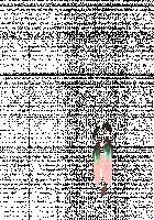 Ambrosia [Original] Thumbnail Page 519