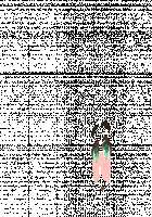 Ambrosia [Original] Thumbnail Page 520