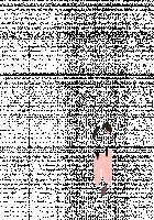 Ambrosia [Original] Thumbnail Page 536