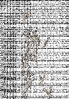 Ambrosia [Original] Thumbnail Page 630