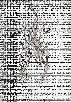 Ambrosia [Original] Thumbnail Page 699