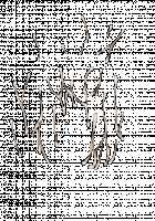 Ambrosia [Original] Thumbnail Page 741