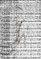 Ambrosia [Original] Thumbnail Page 799