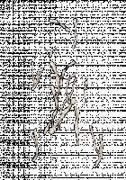 Ambrosia [Original] Thumbnail Page 800