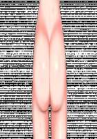 Ambrosia [Original] Thumbnail Page 809