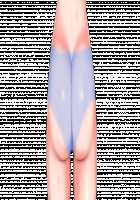 Ambrosia [Original] Thumbnail Page 810