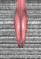 Ambrosia [Original] Thumbnail Page 825