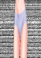 Ambrosia [Original] Thumbnail Page 835