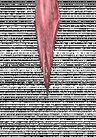 Ambrosia [Original] Thumbnail Page 851