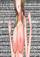 Ambrosia [Original] Thumbnail Page 868