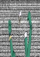 Ambrosia [Original] Thumbnail Page 872