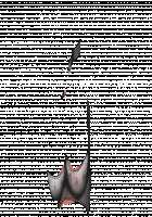 Ambrosia [Original] Thumbnail Page 877