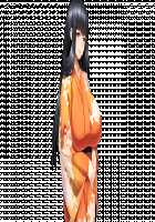 Niizuma Shino / 新妻詩乃 [Tsuchinoko] [Original] Thumbnail Page 203